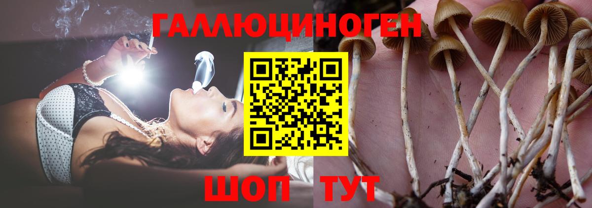 Галлюциногенные грибы мицелий  Вход с VPN  Галлюциногенные грибы мицелий  наркошоп  Сергиев Посад 